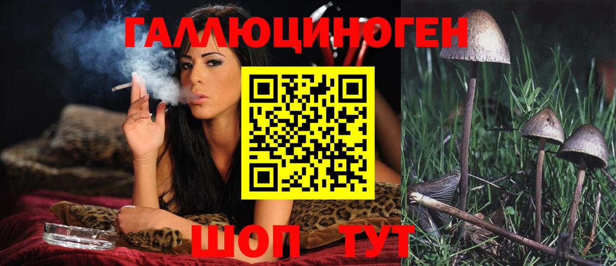Галлюциногенные грибы мухоморы Качканар
