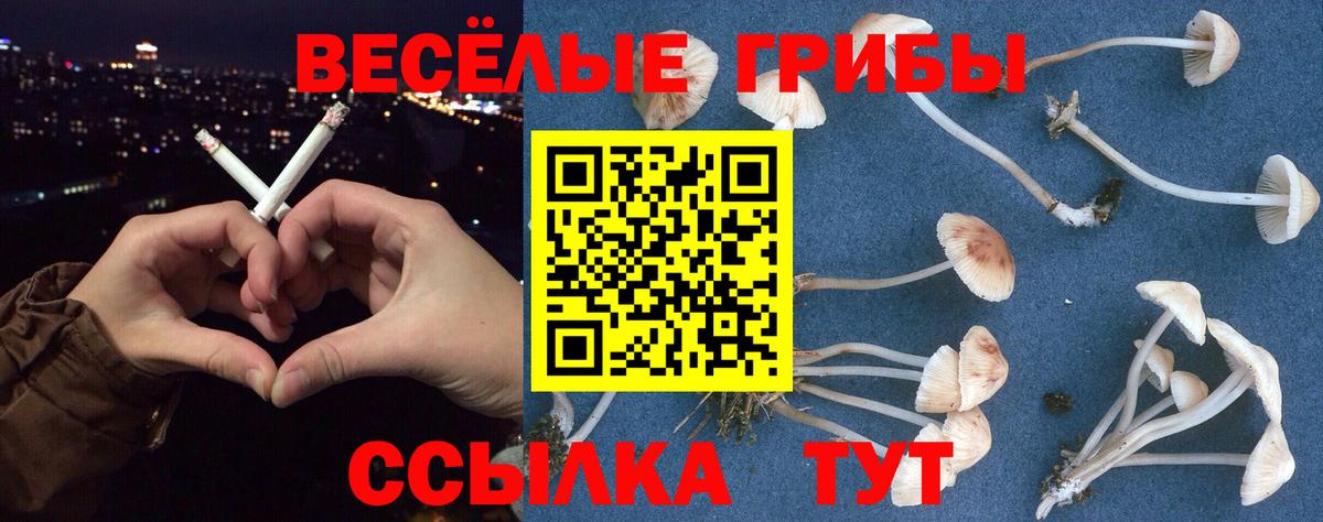 где найти наркотики  Галлюциногенные грибы прущие грибы  Вход с VPN  Галлюциногенные грибы MAGIC MUSHROOMS  Качканар 
