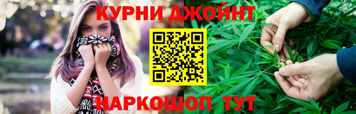 Конопля семена  Конопля планчик  Качканар  Вход с VPN 
